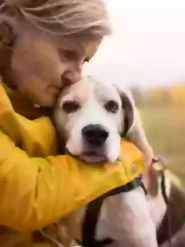 Why choose Phoenix Pet Cremations for your dog?